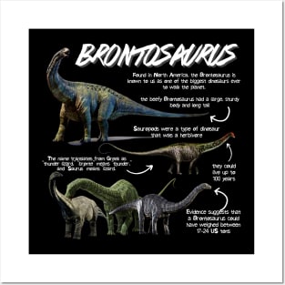 Brontosaurus Fun Facts Posters and Art